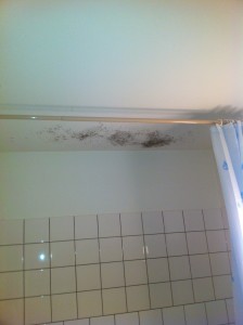 Schimmel im Badezimmer